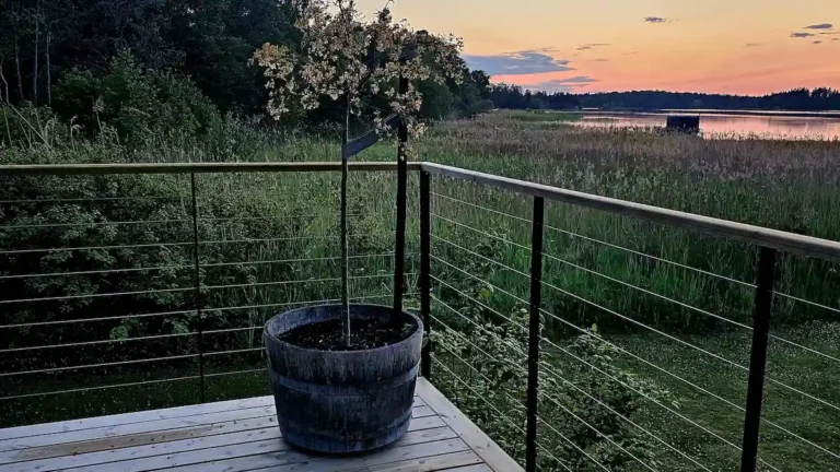 Vajeräcke svarta stolpar